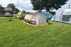 Weaner - Medium Non Electric Grass Tent Pitches at The Pig Place