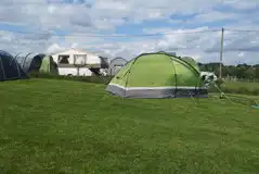 Hog - XL Non Electric Grass Tent Pitches at The Pig Place