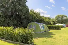 Fully Serviced Grass Pitches at Hill Cottage Farm Camping and Caravan Park