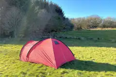 Non Electric Grass Tent Pitches at South Hoggs Hideaway