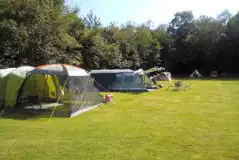 Non Electric Grass Tent Pitches at Postwood Gardens Campsite