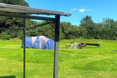Non Electric Grass Tent Pitch at Willow Acres Campsite