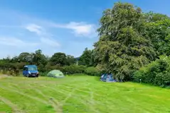 Electric Grass Tent Pitches at Whinfell Hall Farm Campsite