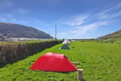 Meadow Camping - Non Electric Grass Pitches at Nantcellan Barns