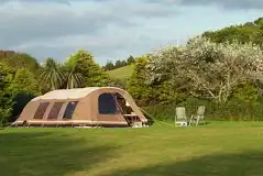 Electric Grass Tent Pitches at Coastal Valley Camp and Crafts