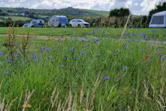 Non Electric Grass Pitches at The Camping Field