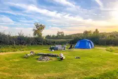 Non Electric Grass Tent Pitches at Belan Bluebell Woods