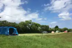 Non Electric Grass Pitches (Large) at Fox Camping