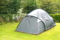 Large Hedged Grass Pitches (Optional Electric) at Tehidy Holiday Park