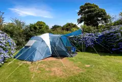 Extra Large Hedged Grass Pitches (Optional Electric) at Tehidy Holiday Park
