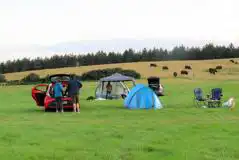 Non Electric Grass Pitches at Waggoners Campsite