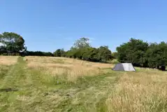 Non Electric Grass Tent Pitches at Prospect House Farm Campsite