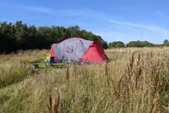 Wild Meadow Grass Pitches at Ysgubor Wen Eco Camping