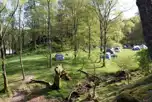 Grass Pitches (The Woodland Field)  at Hollows Farm and Borrowdale Glamping