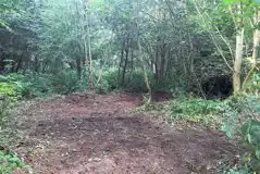 Squirrel's Hideaway Pitch (Adult Only) at Wrekin Forest Camping
