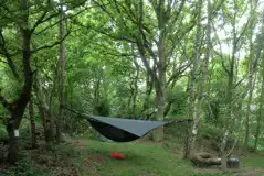 Small Woodland Tent Pitches (Family Friendly) at Dreamy Hollow Woodland Campsite and WW1 Trenches