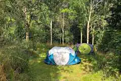 Non Electric Grass Tent Pitches at Little Harford