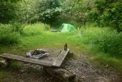 Small Woodland Pitch  at Wyld Wood Campsite