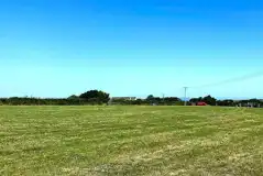 Non Electric Grass Caravan Pitches at Pitt Farm Camping