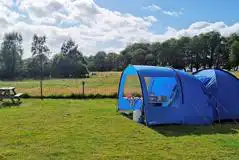 Non Electric Grass Tent Pitches at Drymen Camping