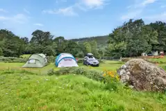 Grass Tent Pitches (Optional Electric)  at Torrent Walk Campsite and Bunkhouse