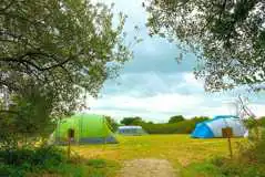 Electric Grass Tent Pitches at The Three Oaks