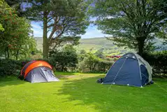 Non Electric Grass Pitches (One Car) at Fieldhead Campsite