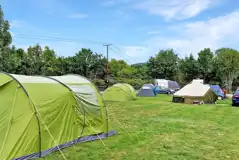 Non Electric Grass Tent Pitches at Woodleigh Caravan Park