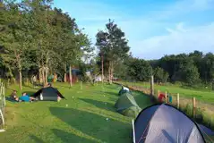 Non Electric Grass Pitches at Drymen Camping