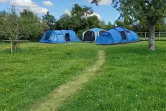 Electric Grass Pitches at New Farm Shepherds Huts and Camping