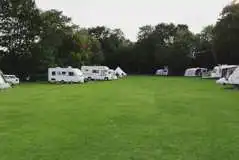 Grass Pitches (Optional Electric) at Brook Lodge Farm Camping and Caravan Park