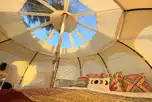 Stargazer Lotus Belle Tent (Pet Friendly) at Lynmouth Holiday Retreat