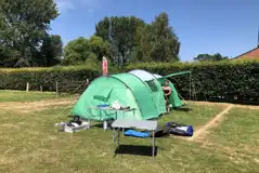 Electric Grass Pitches (Max 7m) at Prattshayes Campsite