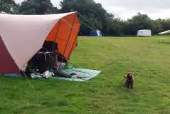 Non-Electric Grass Pitches at Boveys Down Farm Campsite & Glamping