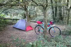 Small Nearly Wild Tent Pitches at Wray Valley Camping