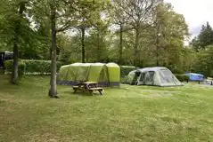 Non Electric Grass Tent Pitches at Doward Park Campsite