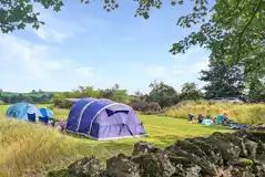 Medium Grass Camping Pitches (Optional Electric) at Sizergh Caravan and Camping