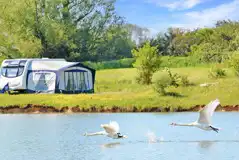 Optional Electric Grass Pitches at Gatton Waters Caravan Park