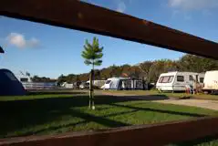 Large Serviced Grass Pitches at Monkey Tree Holiday Park
