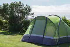 Non Electric Grass Backpacker Pitches No car at Trevalgan Touring Park