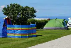 Electric grass pitches (pet free)