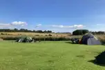 Non Electric Grass Tent Pitches at Shepherd's Rest