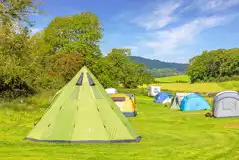 Medium Non Electric Grass Pitches at Moss Howe Farm Campsite