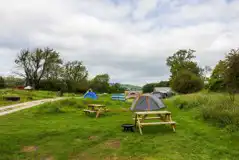 Premium Electric Grass Pitches at Moss Howe Farm Campsite