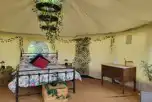 Hereford Yurt at Tipsy Tree Glamping