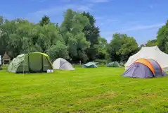 Non Electric Grass Pitches at Park Farm Campsite