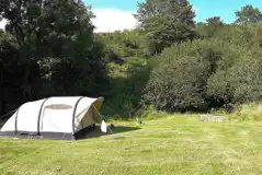 Non Electric Grass Tent Pitch at Meadow Camping