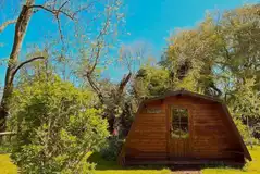 Dandelion pod exterior