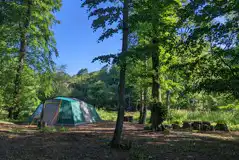 Woodland Tent Pitches at Wytch Wood Camping