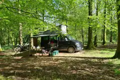 Grass Tent and Campervan Pitches at Wytch Wood Camping